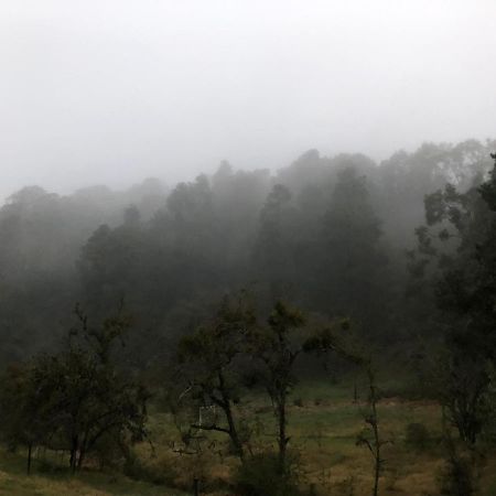 Cabana Romantica En El Bosque! Acaxochitlán Eksteriør bilde