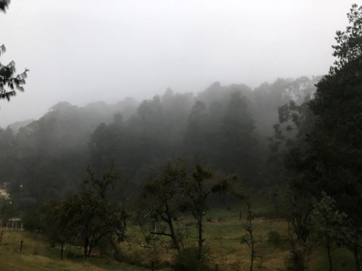 Cabana Romantica En El Bosque! Acaxochitlán Eksteriør bilde