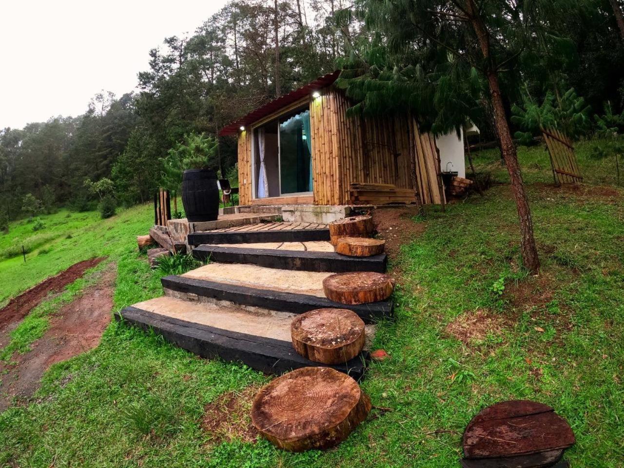 Cabana Romantica En El Bosque! Acaxochitlán Eksteriør bilde